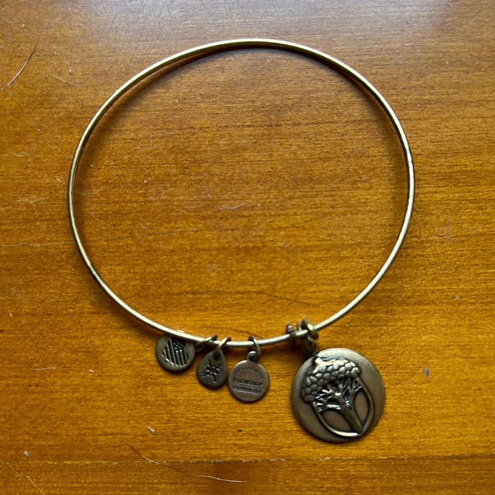 Alex + Ani bracelet